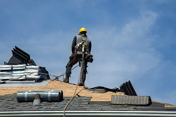 Professional Gutter Installation technician working in Chandler, TX